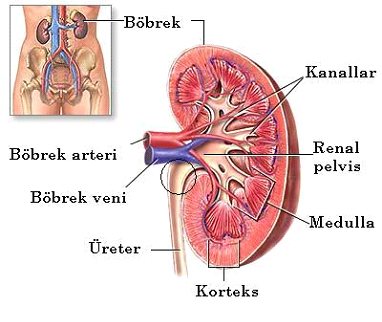 UPJ DARLIĞI
