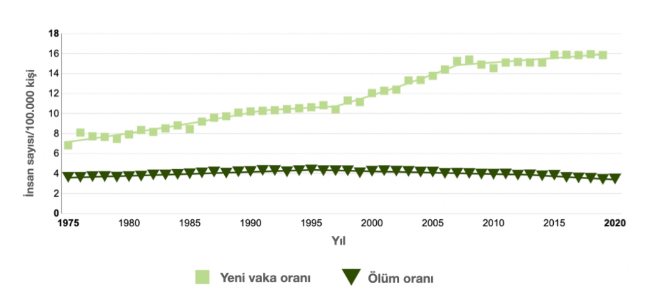 Ürolojik Kanserlerin (ÜroOnkoloji) Görülme Sıklığı Nedir ?