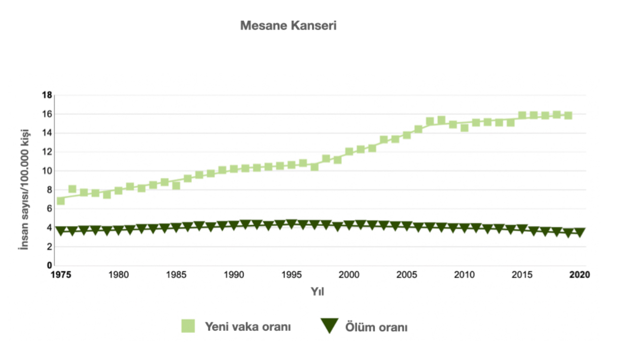 Ürolojik Kanserlerin (ÜroOnkoloji) Görülme Sıklığı Nedir ?