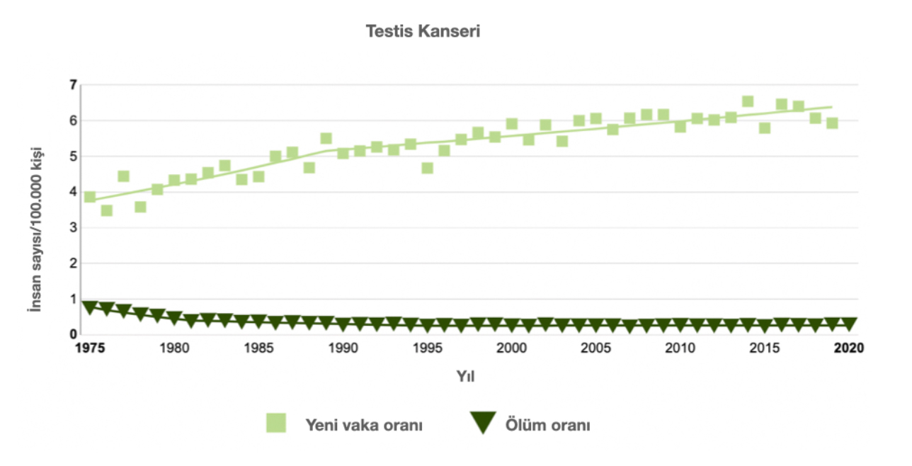 Testis Kanseri Nedir