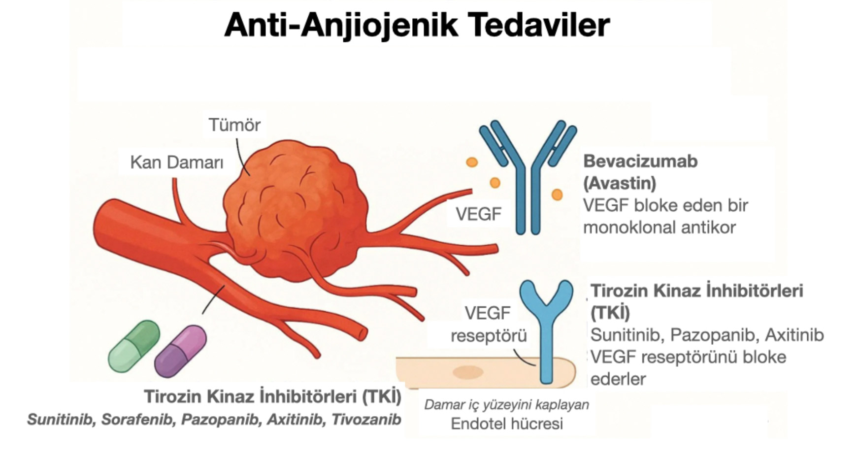 Şekil-7: Tirozin Kinaz İnhibitörleri ve Anti-Anjiogenik ilaçlar